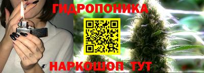 тгк Обнинск