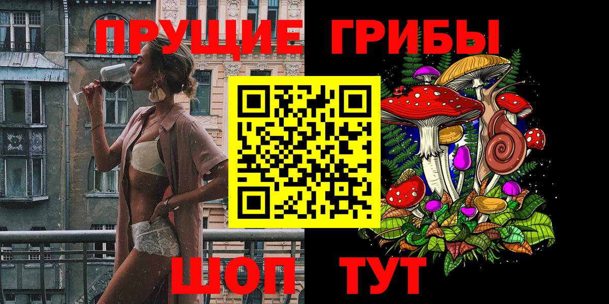 Советск  Галлюциногенные грибы Psilocybine cubensis  Вход с VPN  Псилоцибиновые грибы Psilocybine cubensis 