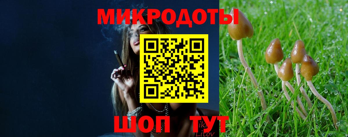 Галлюциногенные грибы ЛСД Советск