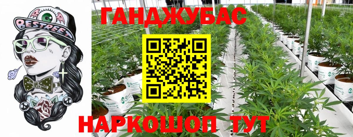 Каннабис OG Kush  Вход с VPN  Советск  Конопля MAZAR  Каннабис сатива 
